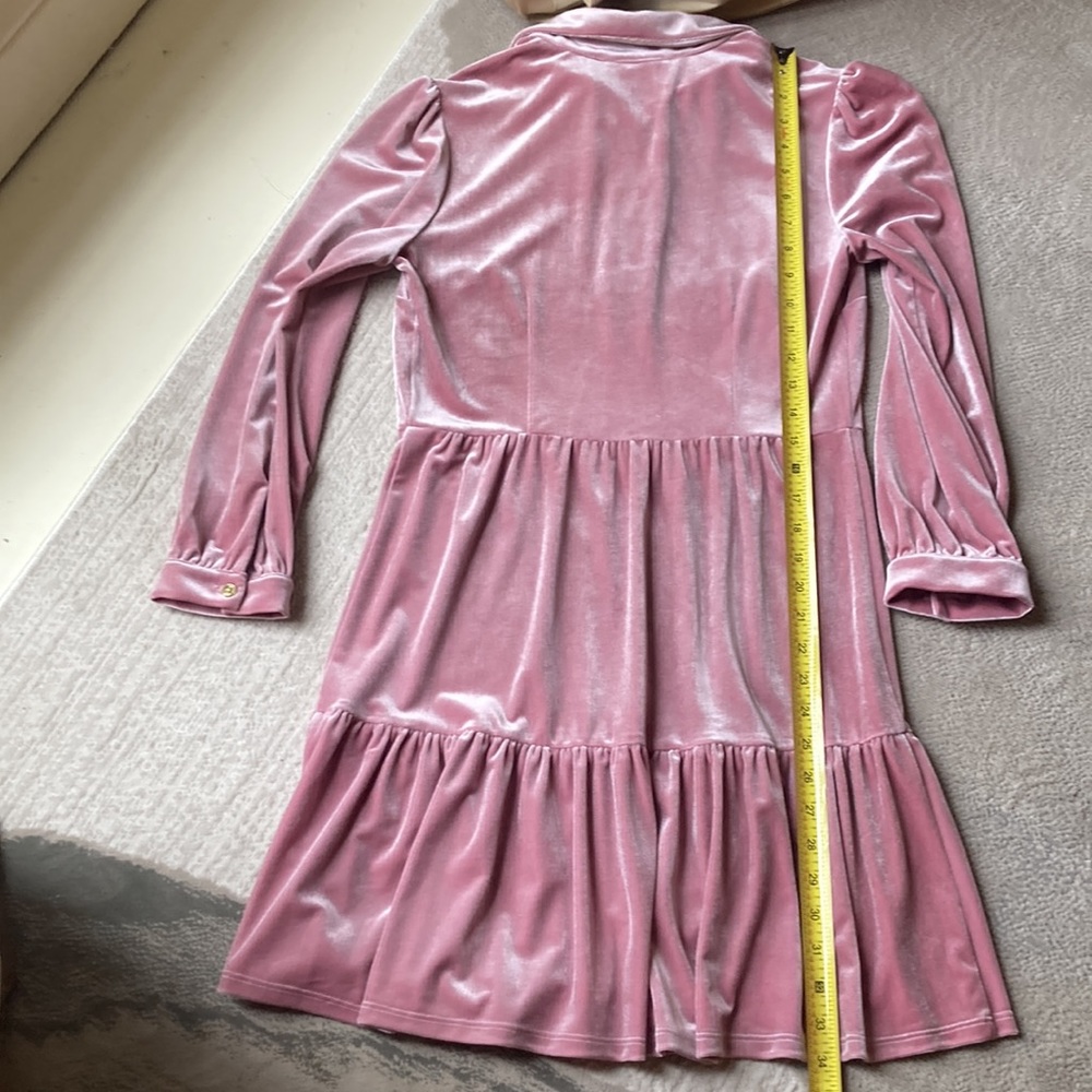 Beautiful Jude Conally rose color, soft velveteen dress - Picture 10 of 16